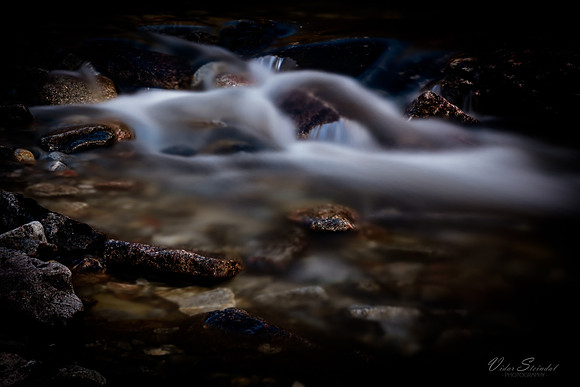 _R0A4547-3